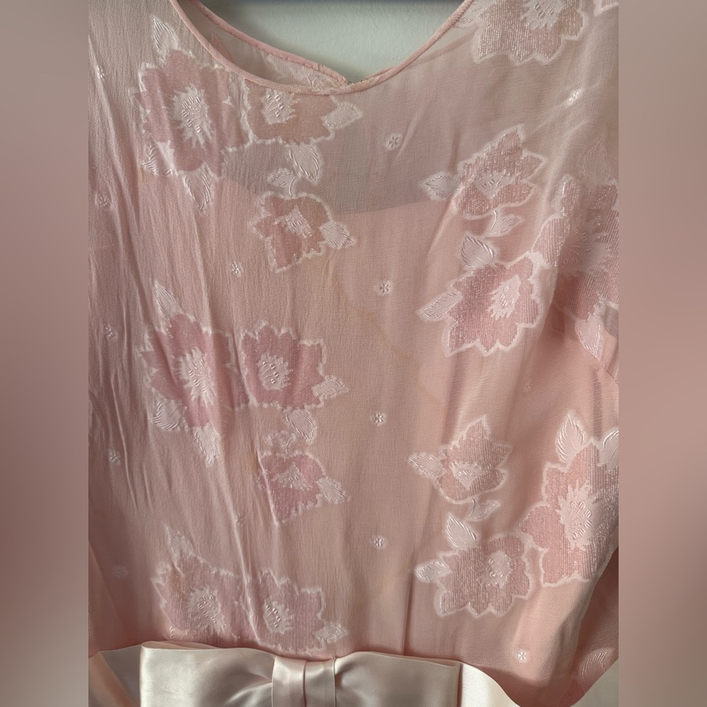 Vintage 80s Pink Silk Chiffon Frances Brewster Dress Sheer Floral Velvet Sz L/XL - Picture 2 of 15